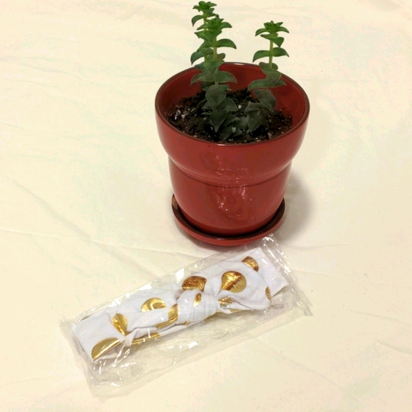 White baby headband with gold polkadot - Picture 1 of 1